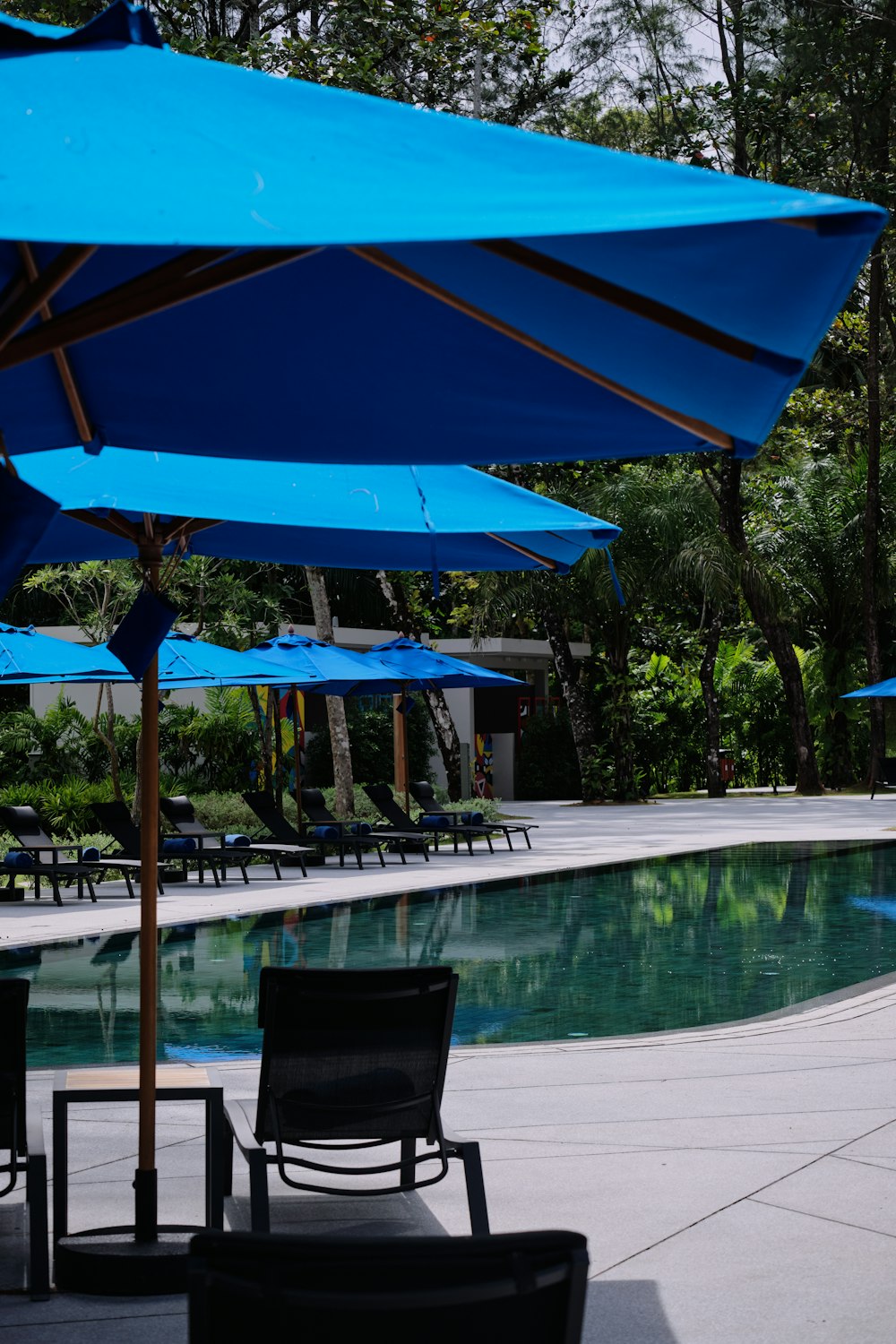 a pool with chairs and umbrellas