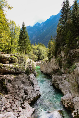 a river running through a rocky area