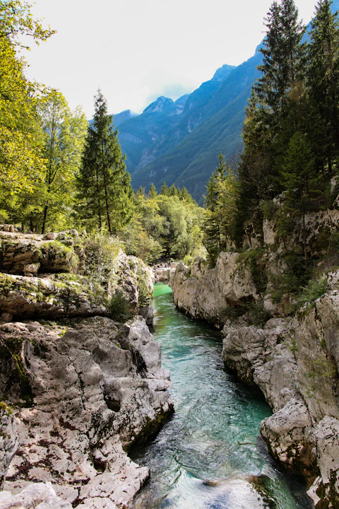 a river running through a rocky area