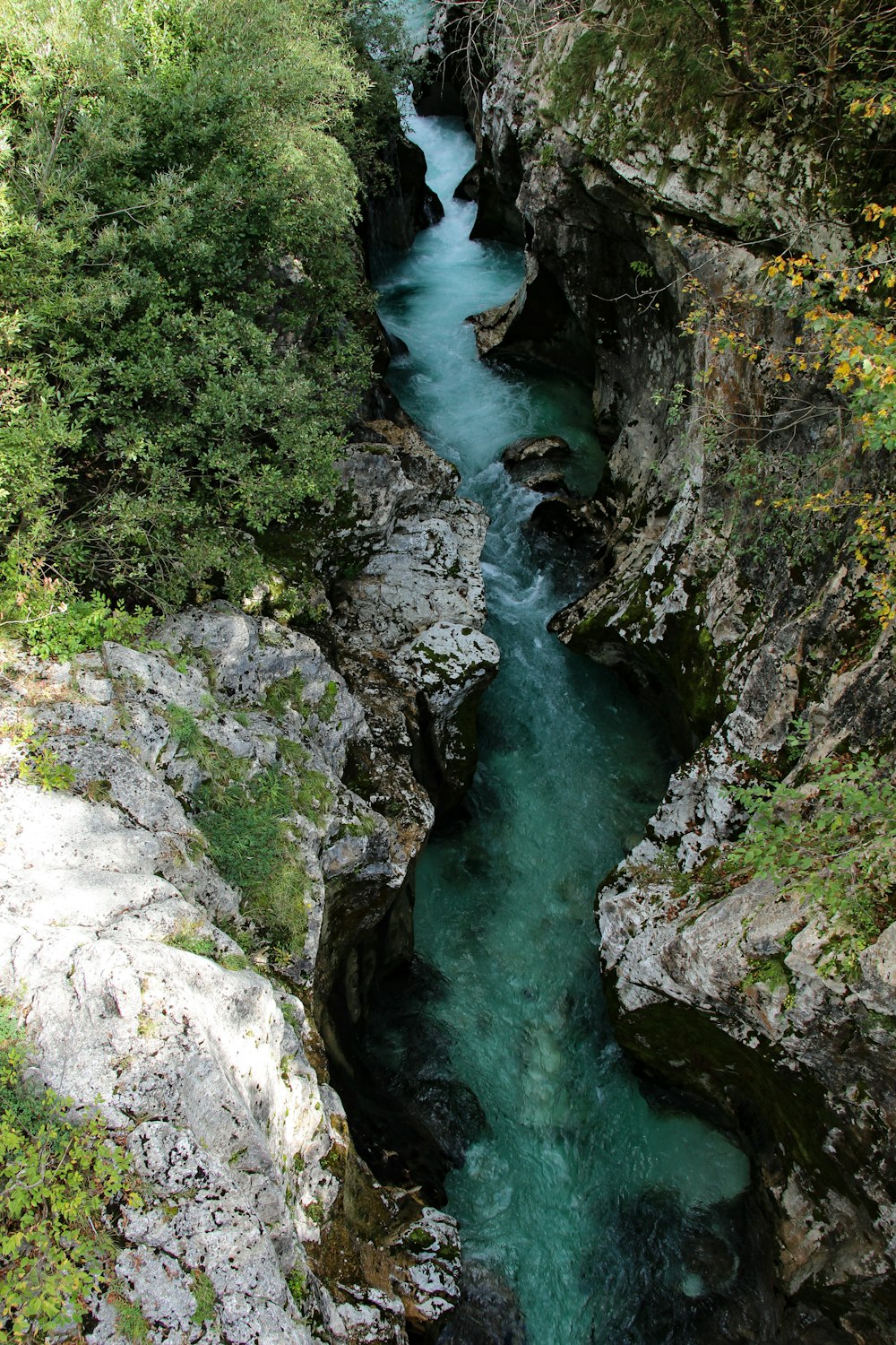 a river flowing through rocks