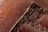 A close-up view of brown leather with detailed stitching running vertically. The texture of the leather is visible, showing its grainy surface and aged appearance.