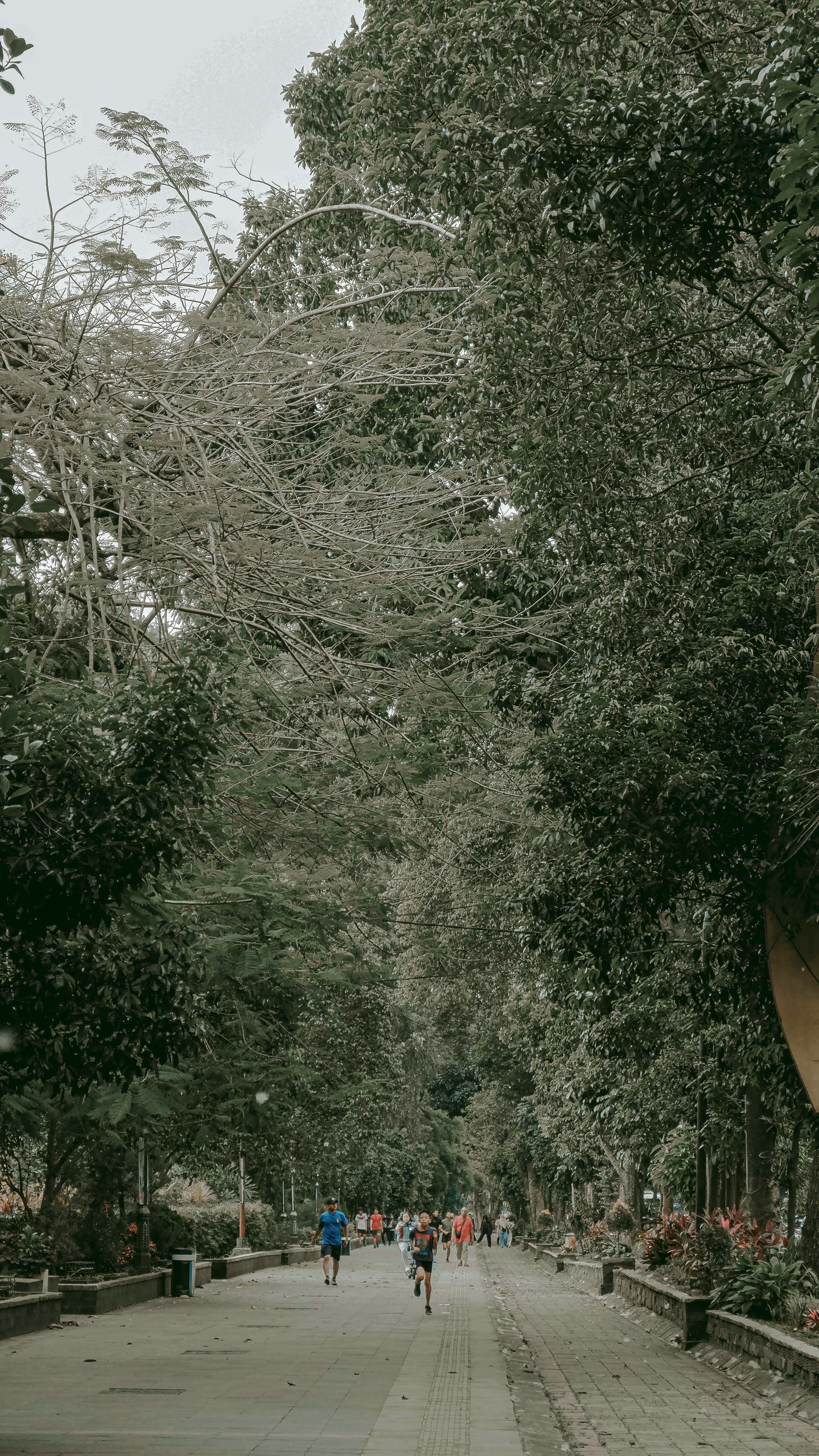 Group running outdoors in nature, dark moody atmosphere, olive green foliage, shadowed trail