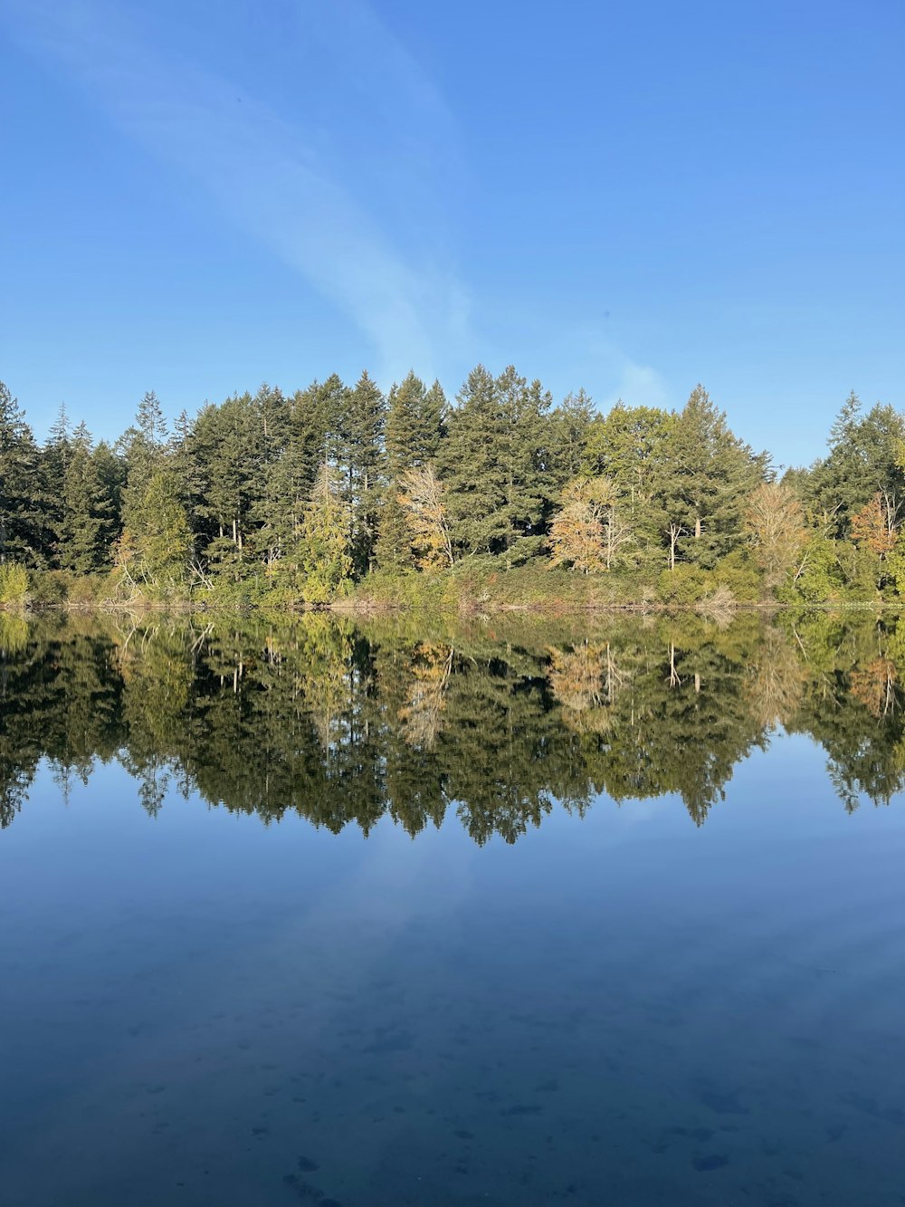 a body of water with trees around it