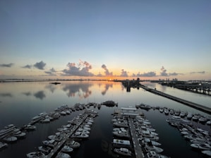 a dock with many boats on it