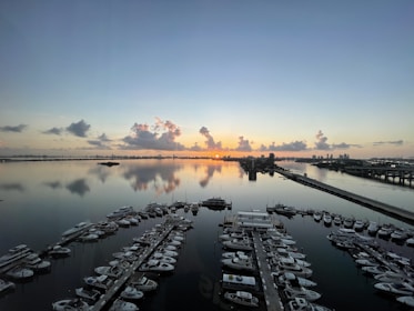 a dock with many boats on it