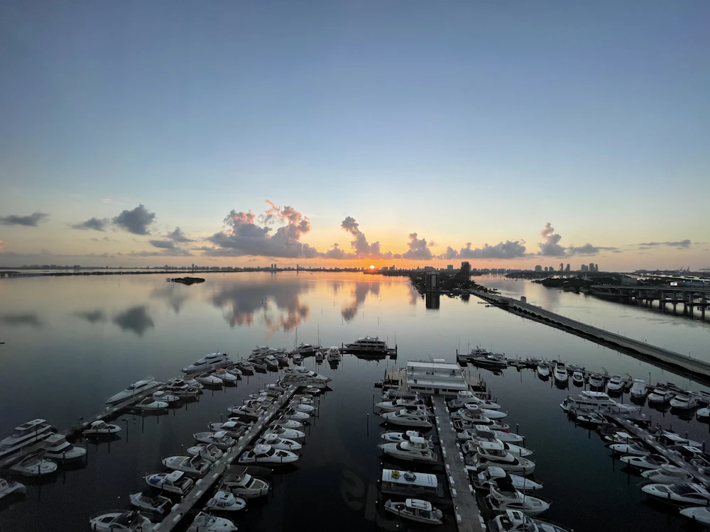 Rows of boats tied up along a marina dock