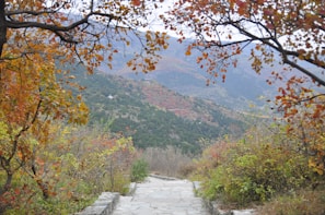 Nearby hiking trail entrance framed by colorful autumn leaves.
