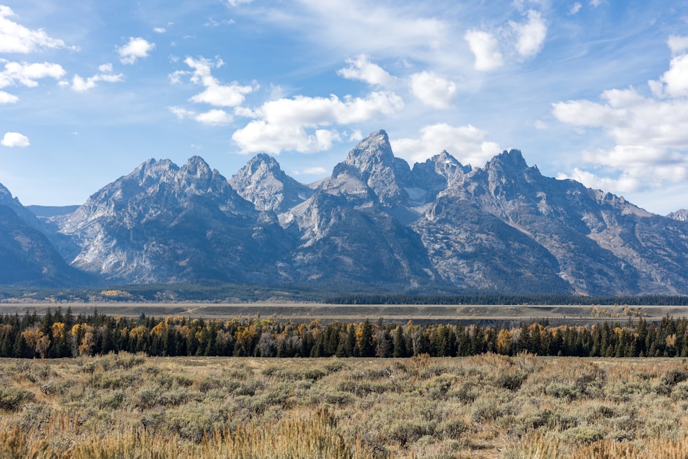 a landscape with mountains in the back