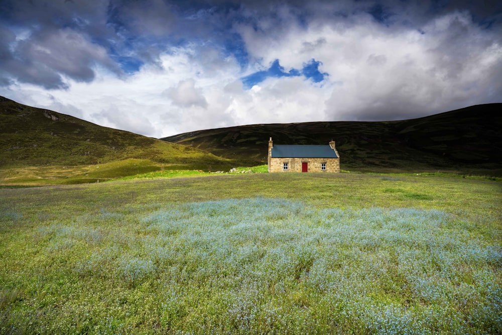 a house in a field