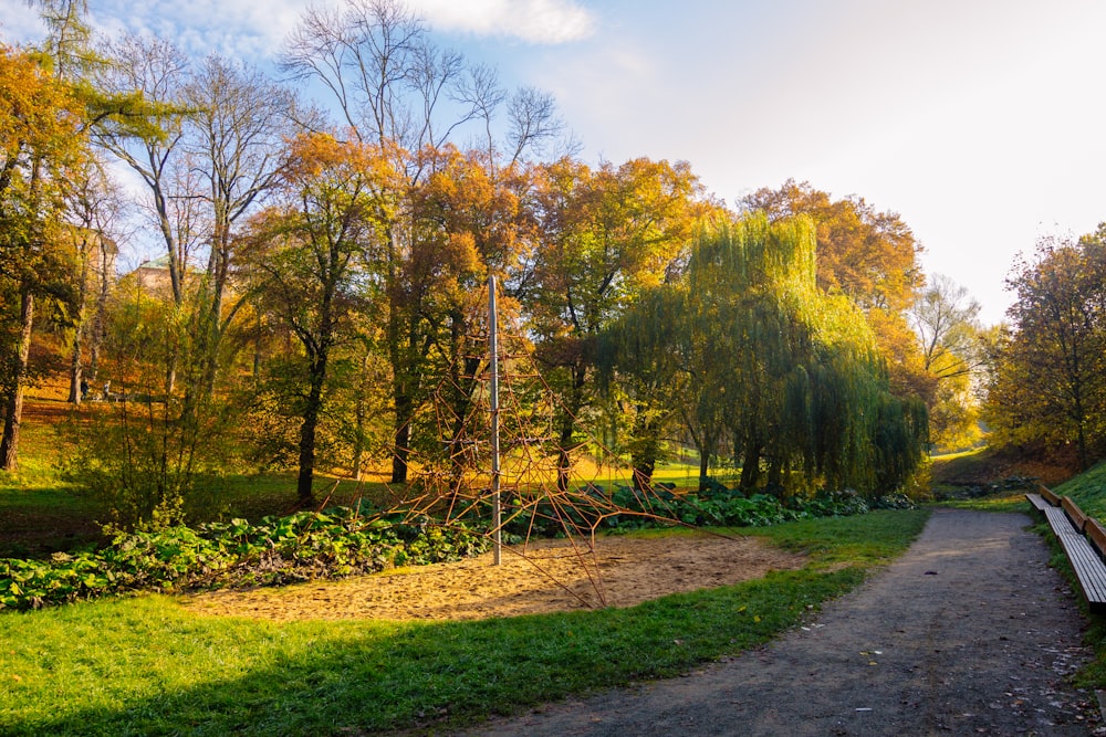 a path with trees on the side