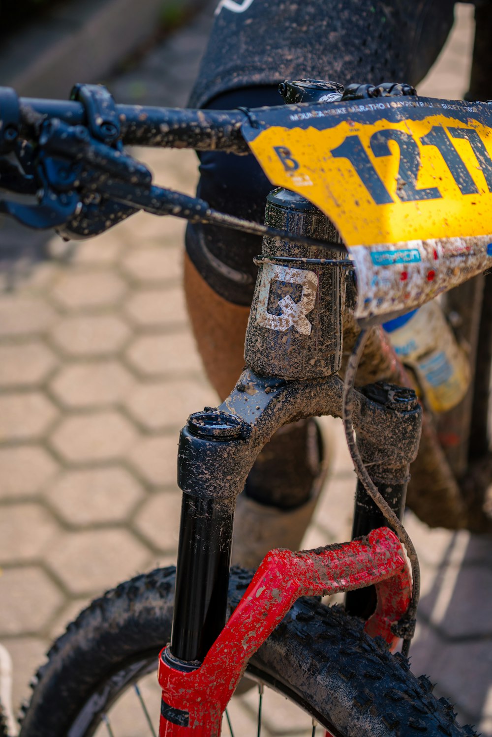 a close-up of a bicycle