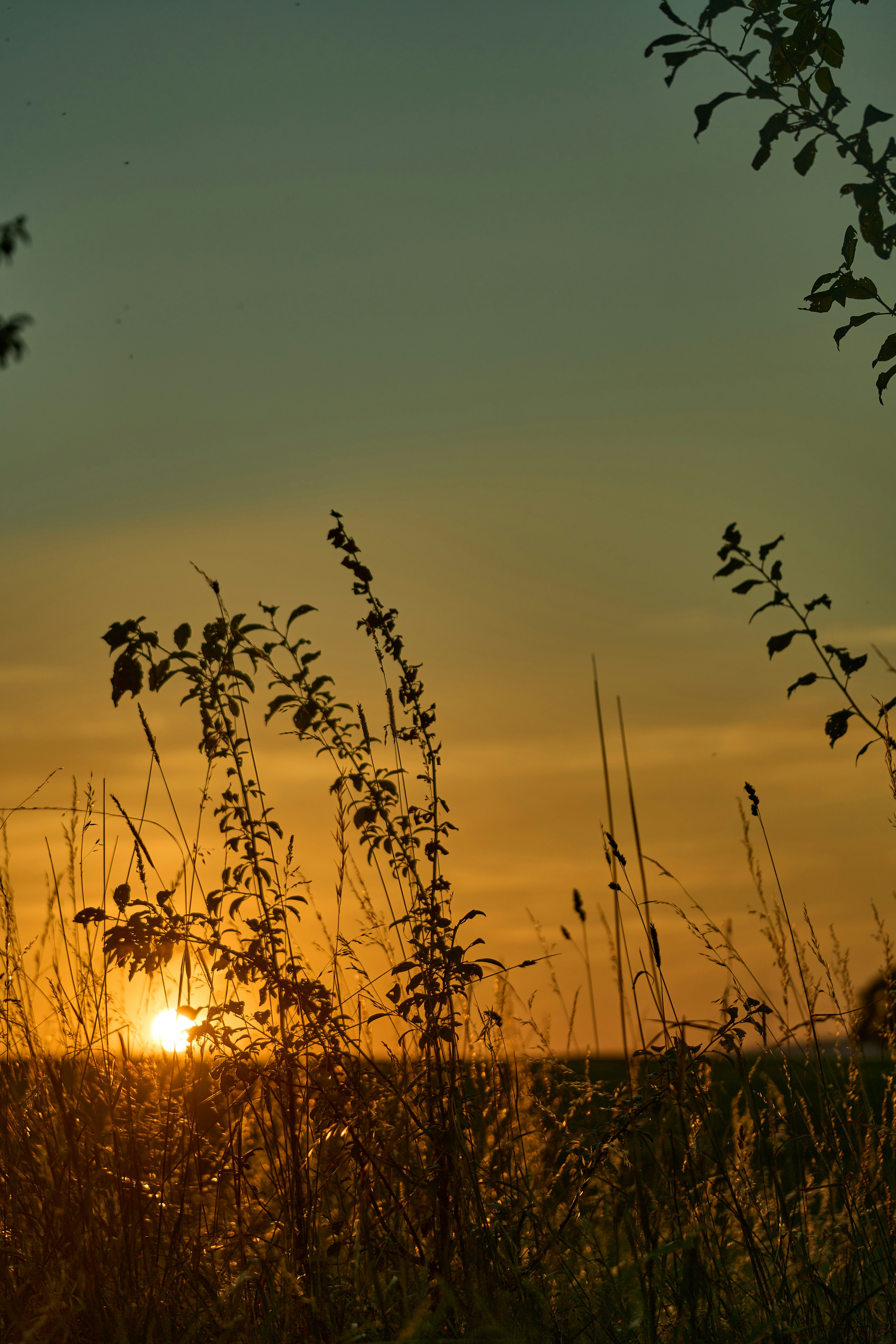 Photo by wolfgang_hasselmann