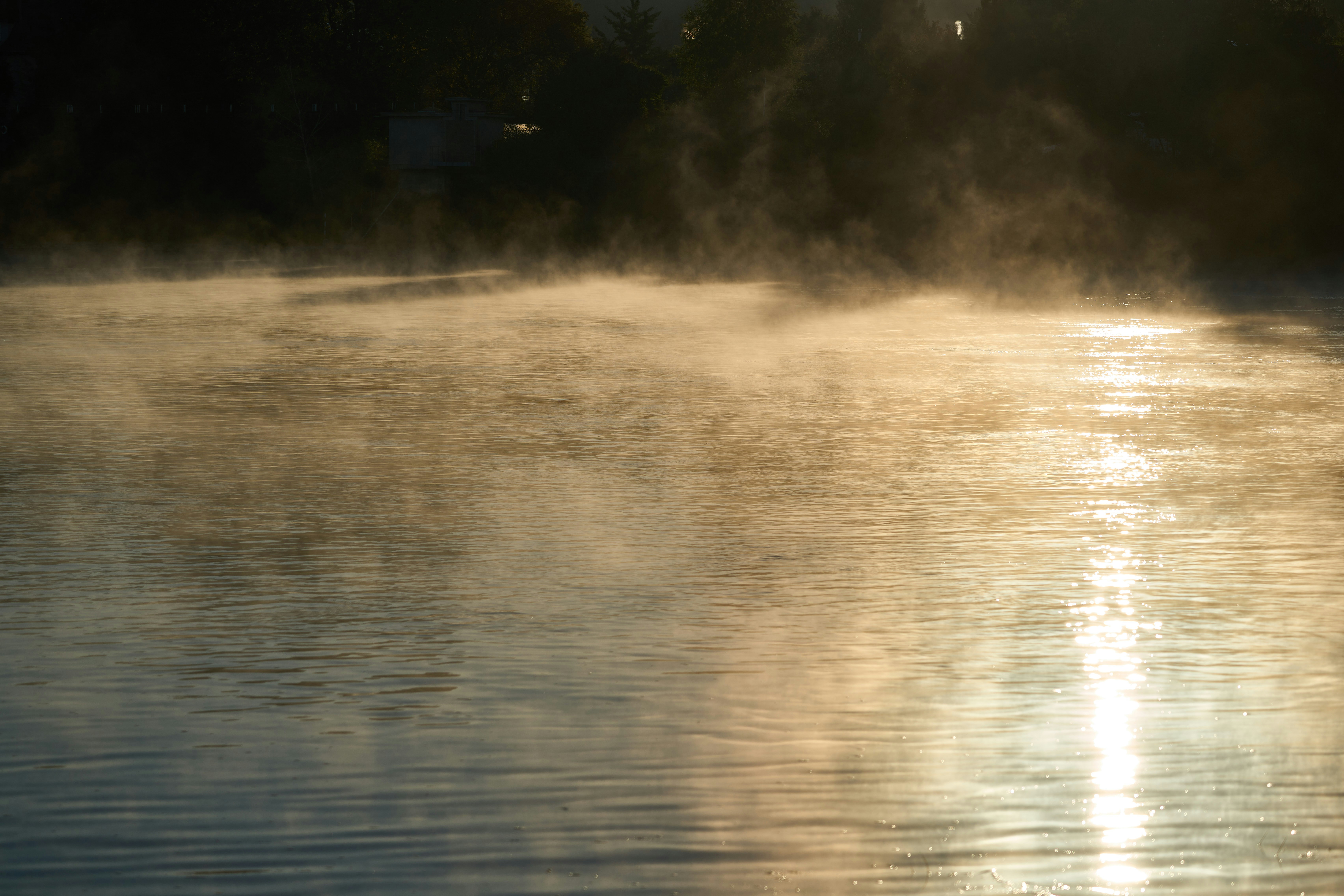 Photo by wolfgang_hasselmann