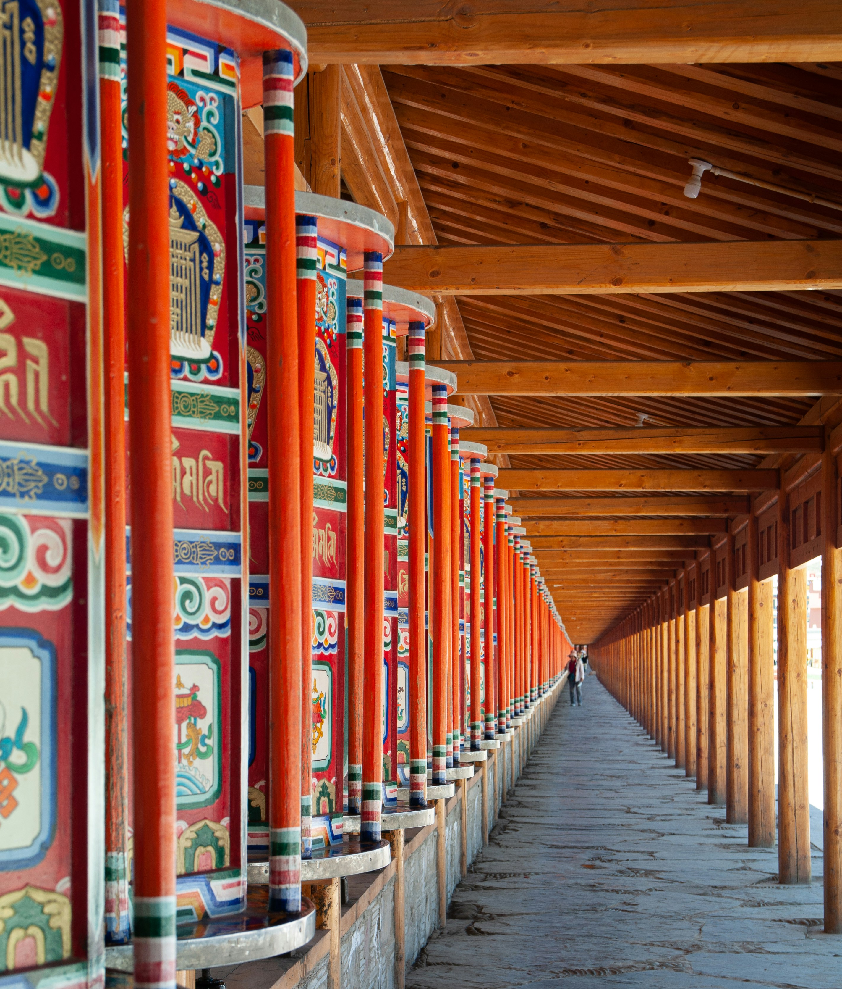 Photo by duanrui2598