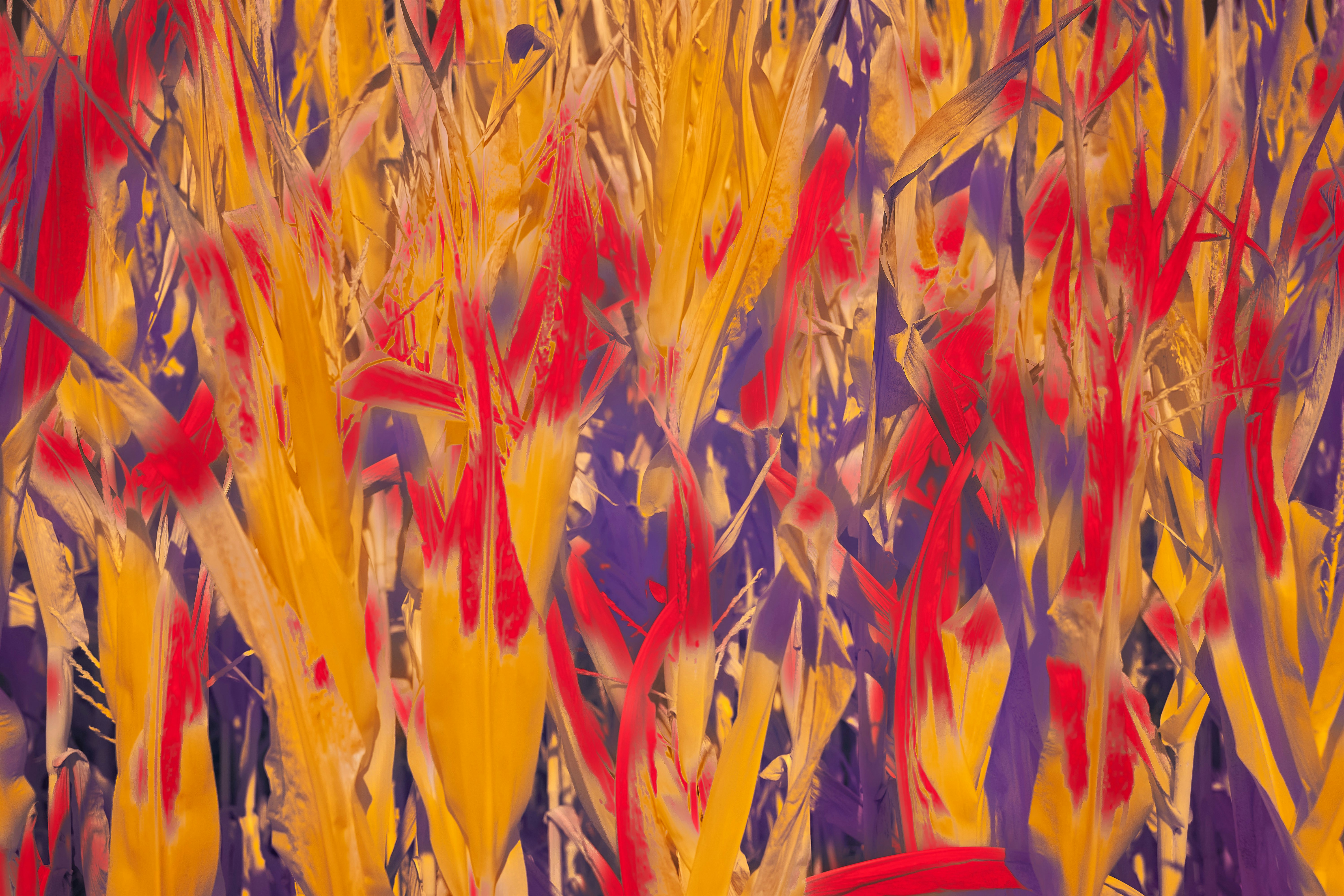 抽象油彩画 青とオレンジ 抽象油彩画 青とオレンジ 青とオレンジの