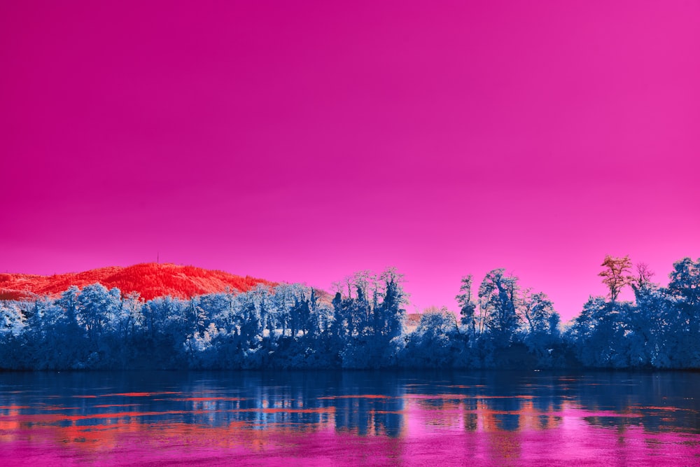 a body of water with trees and a mountain in the background