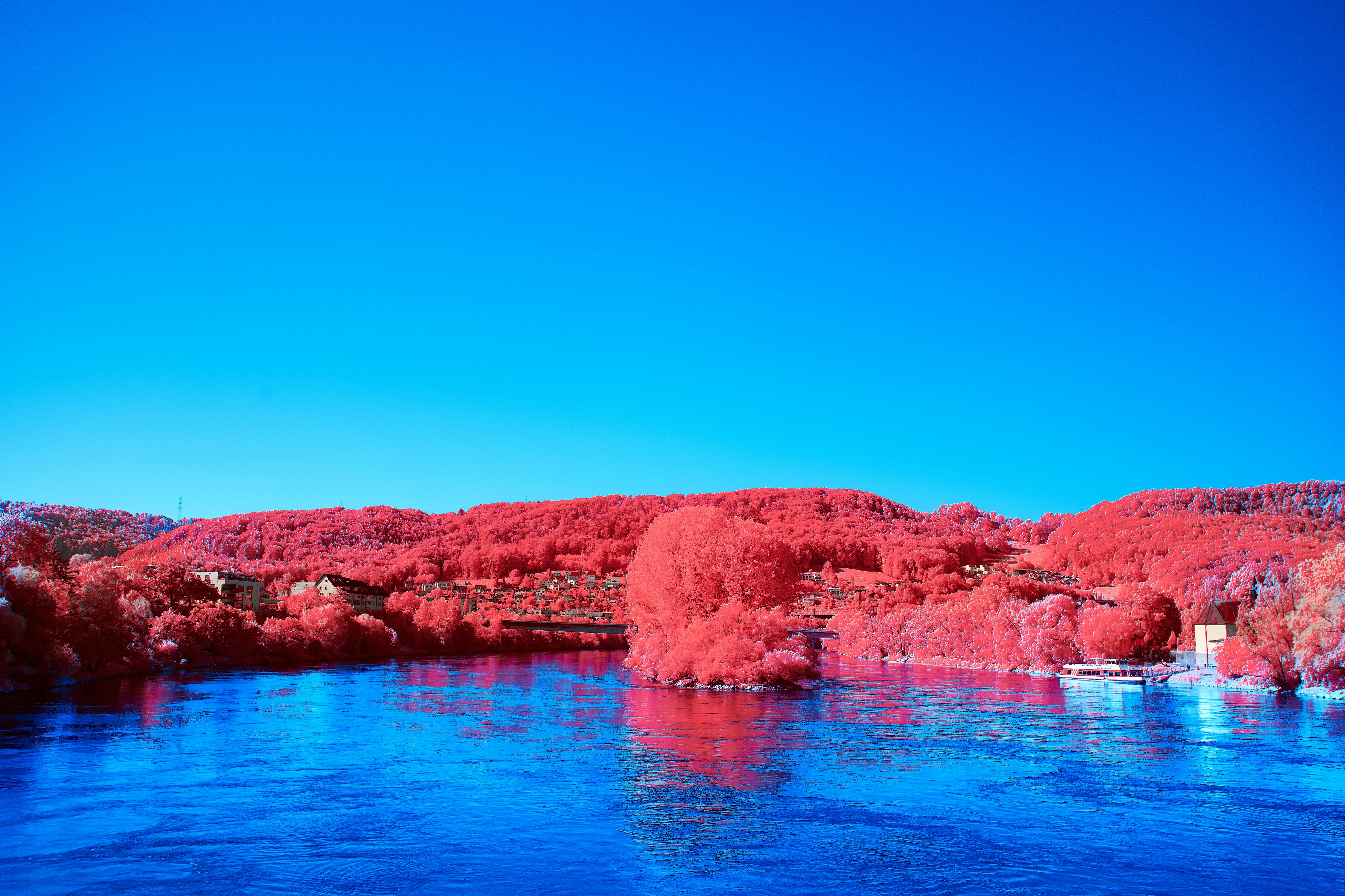 Photo by wolfgang_hasselmann