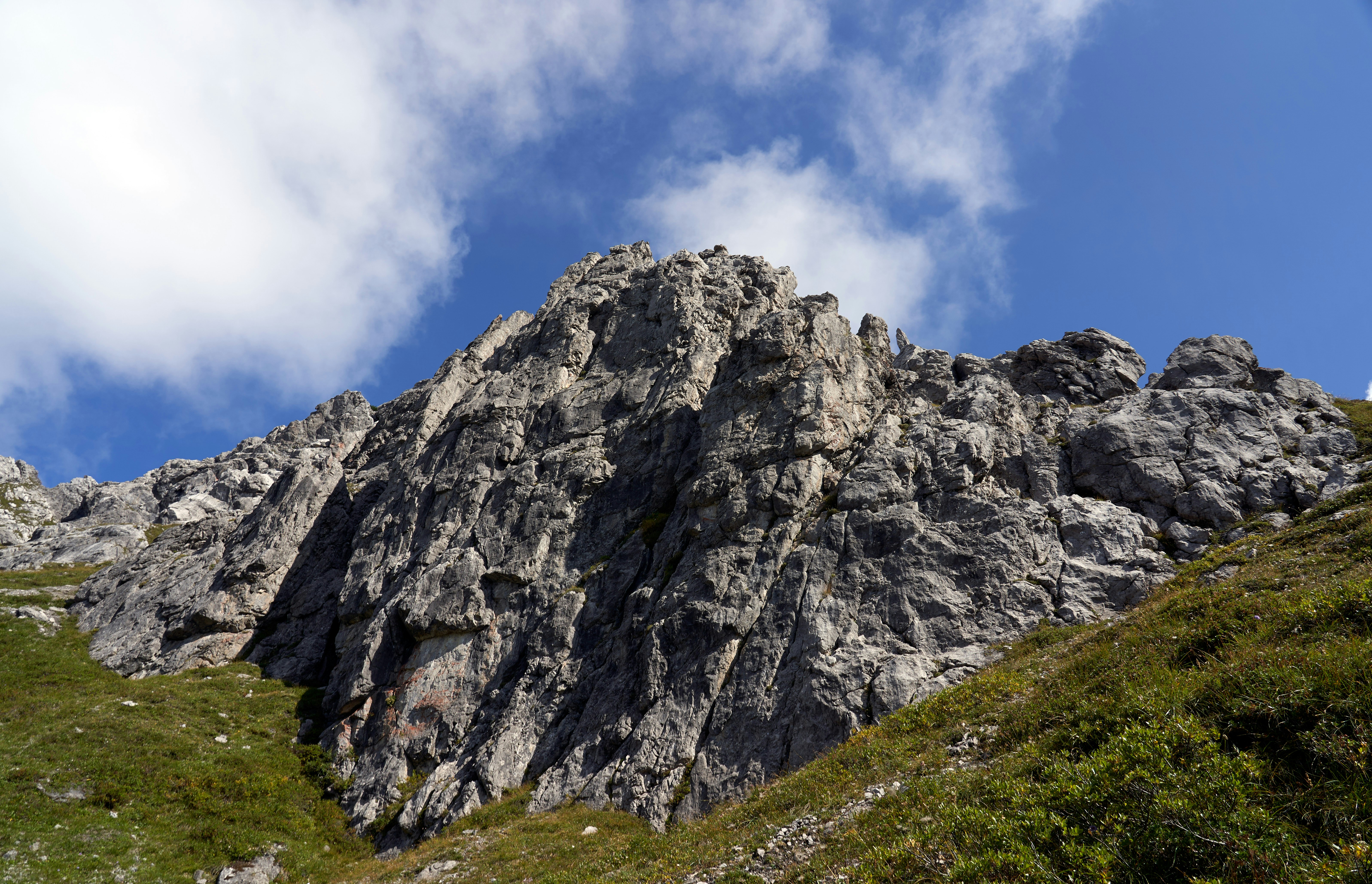 Photo by wolfgang_hasselmann