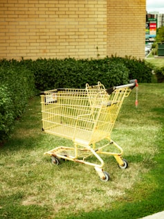 a shopping cart with a basket on it