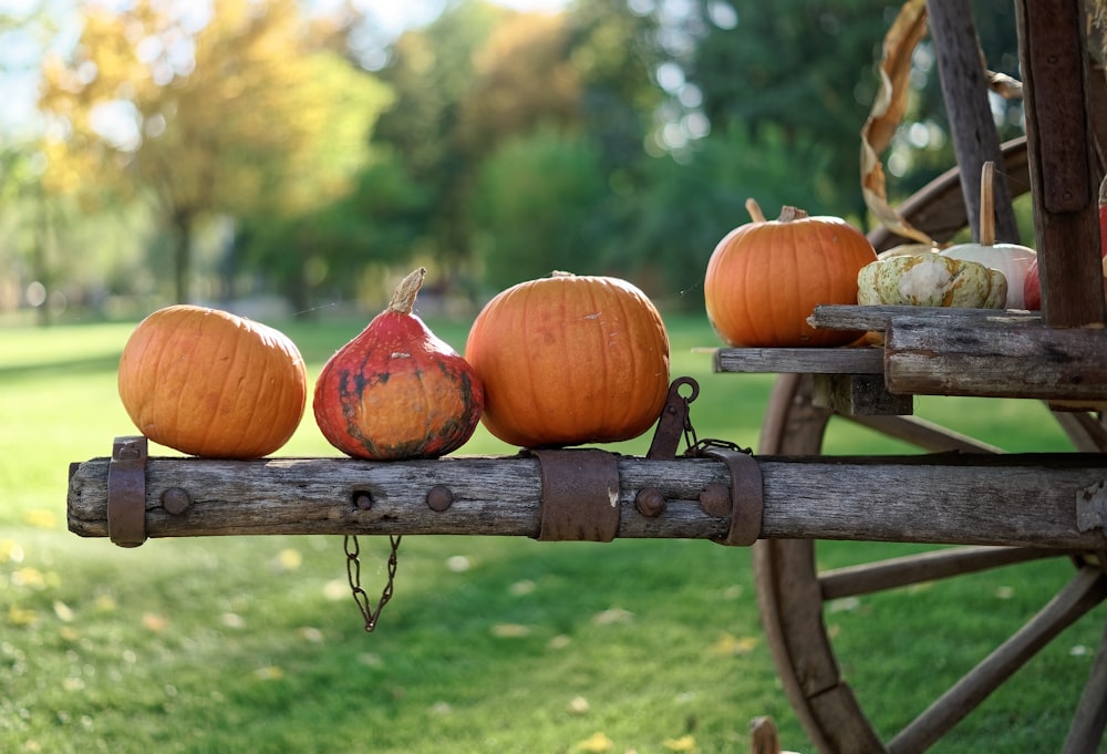a group of pumpkins on a wooden fence