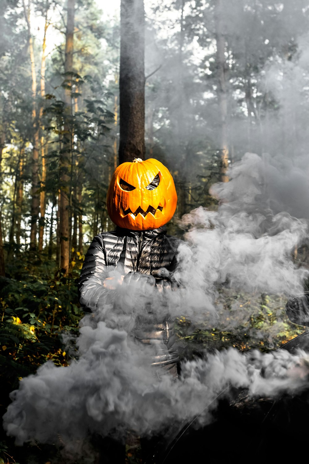 Una calabaza tallada en el bosque