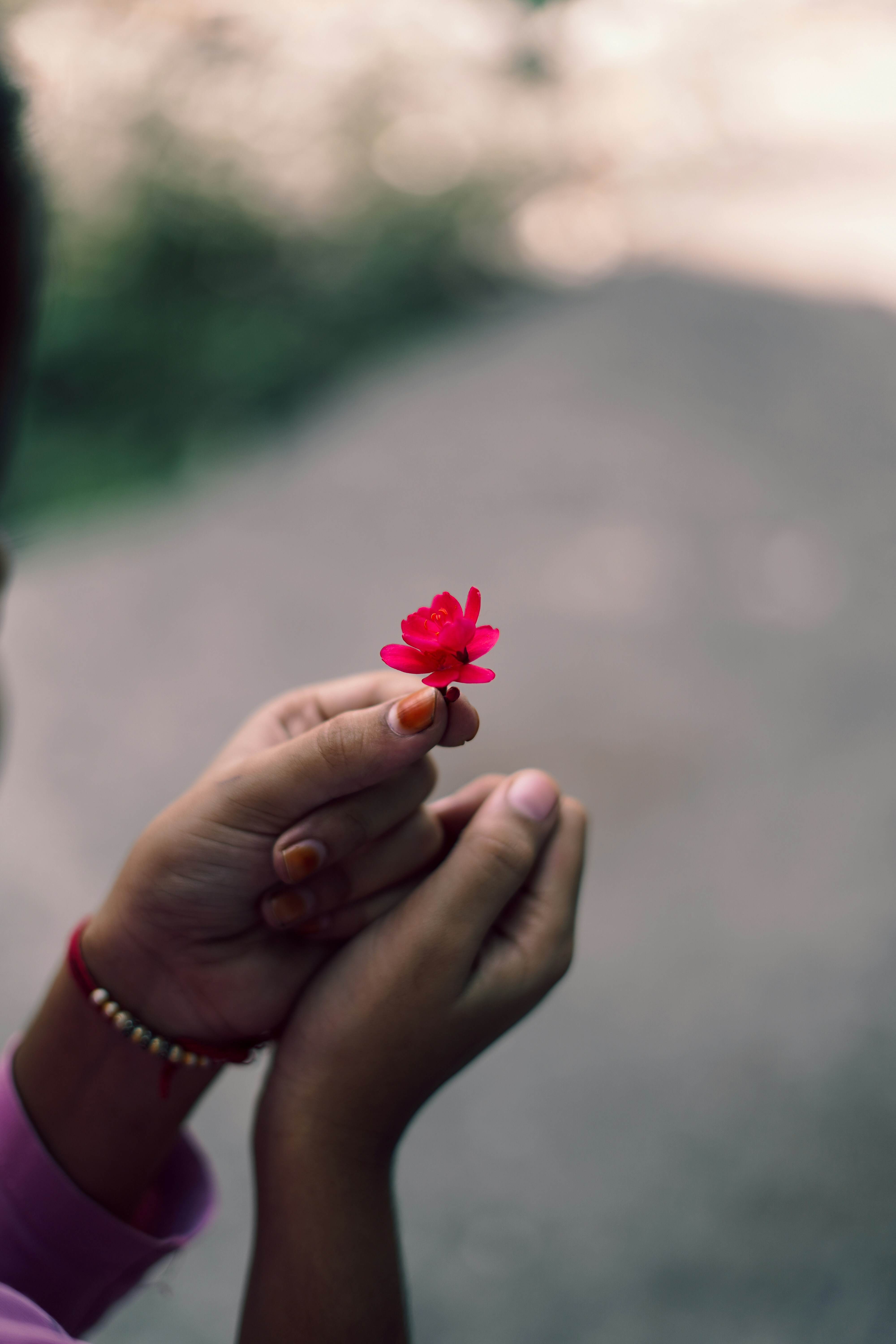 Photo by shyammishra94