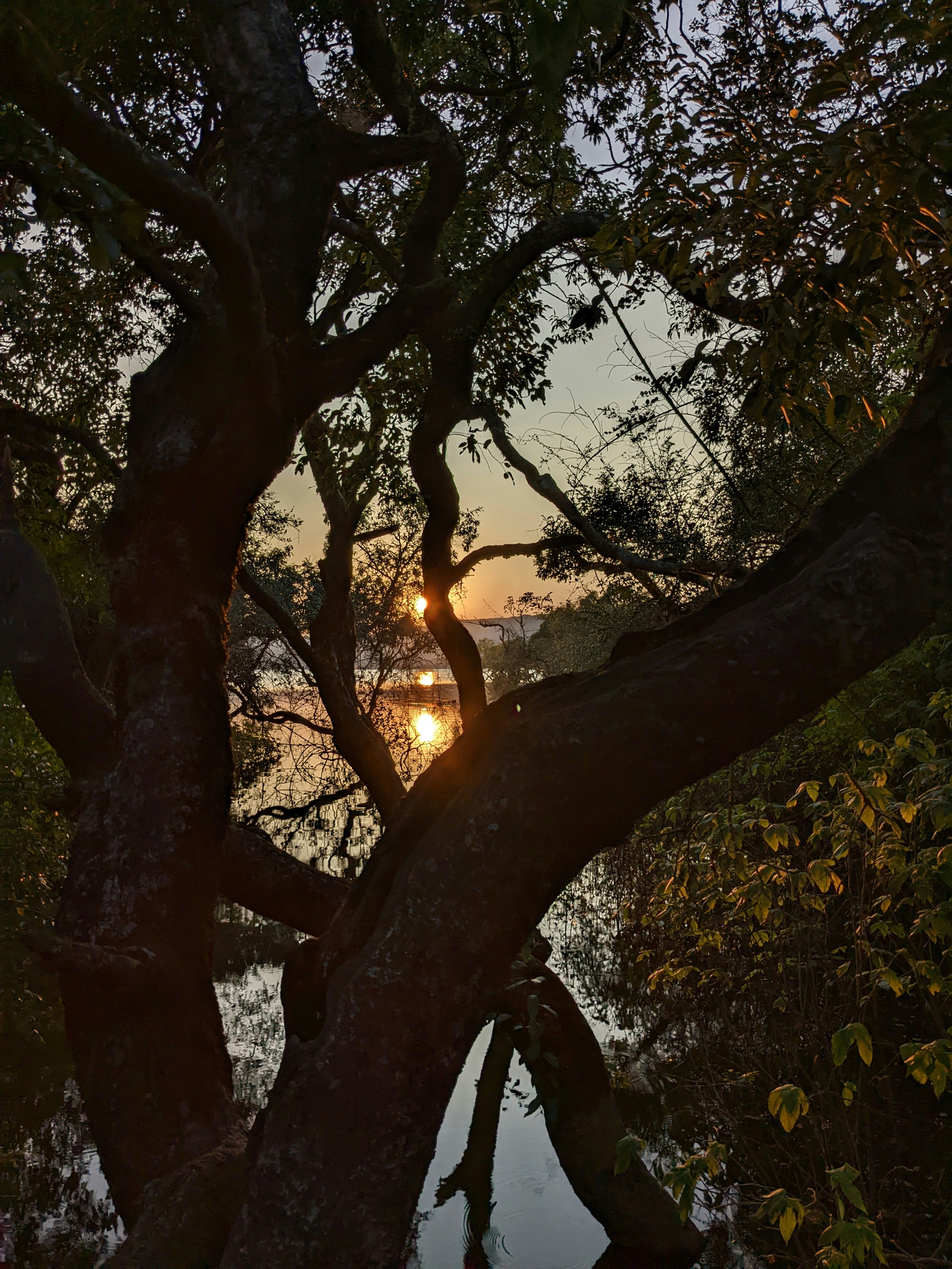 Mindful Moments Booklet