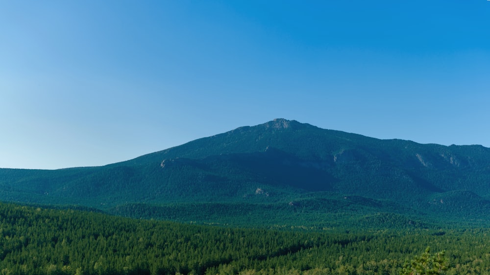 a mountain with green grass