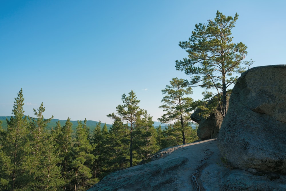 a rocky cliff with trees on it