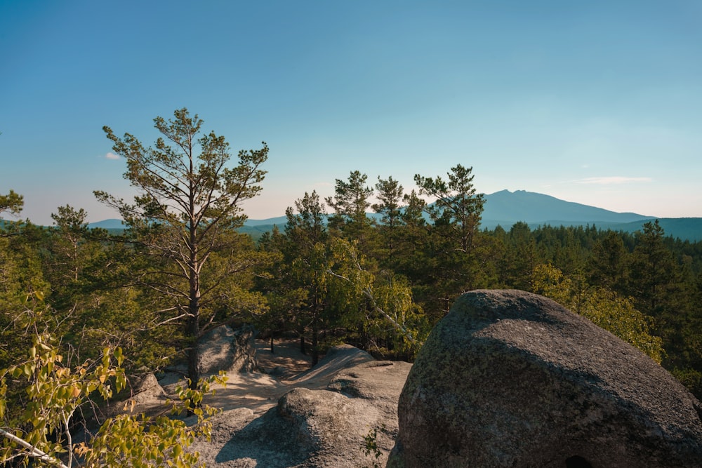 a rock with trees and mountains in the background