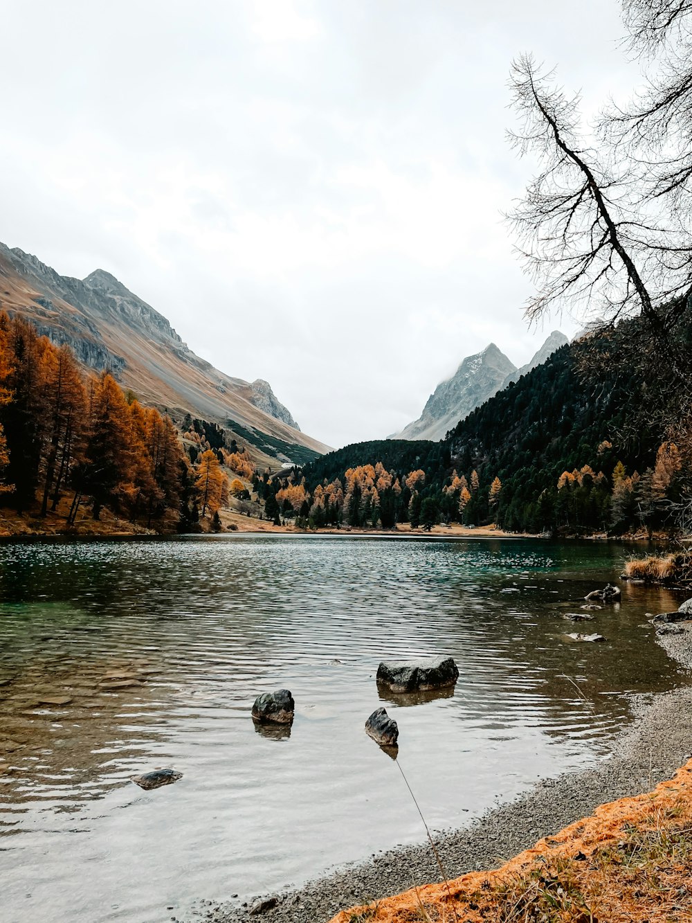 a lake with mountains in the background