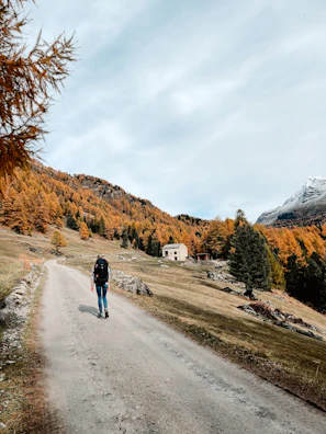 A solitary hiker walking along a forest path lined with autumn leaves.