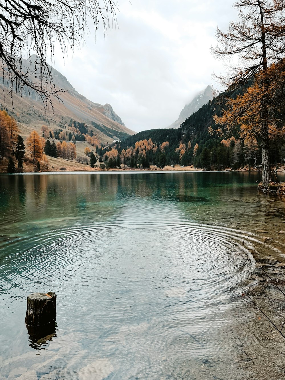 a lake with trees and mountains in the background