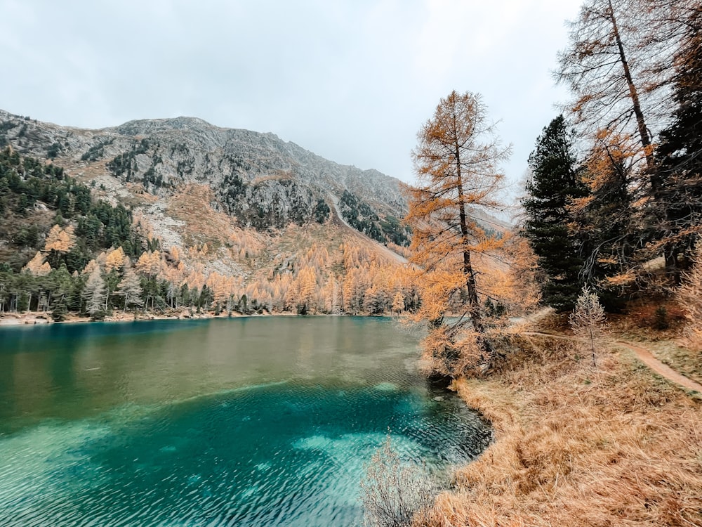 a lake surrounded by trees and mountains