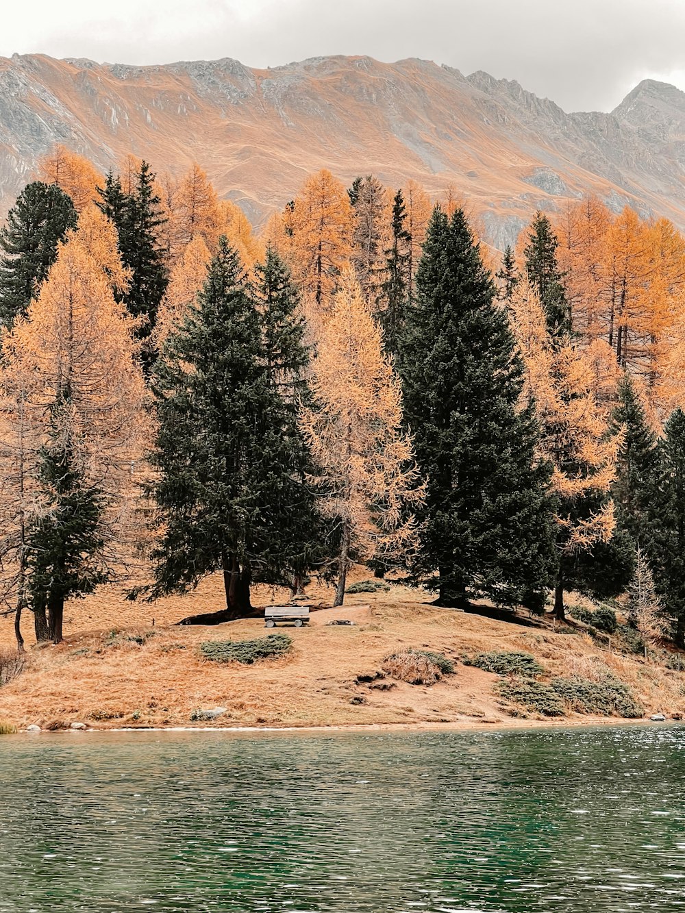 a lake with trees and mountains in the background