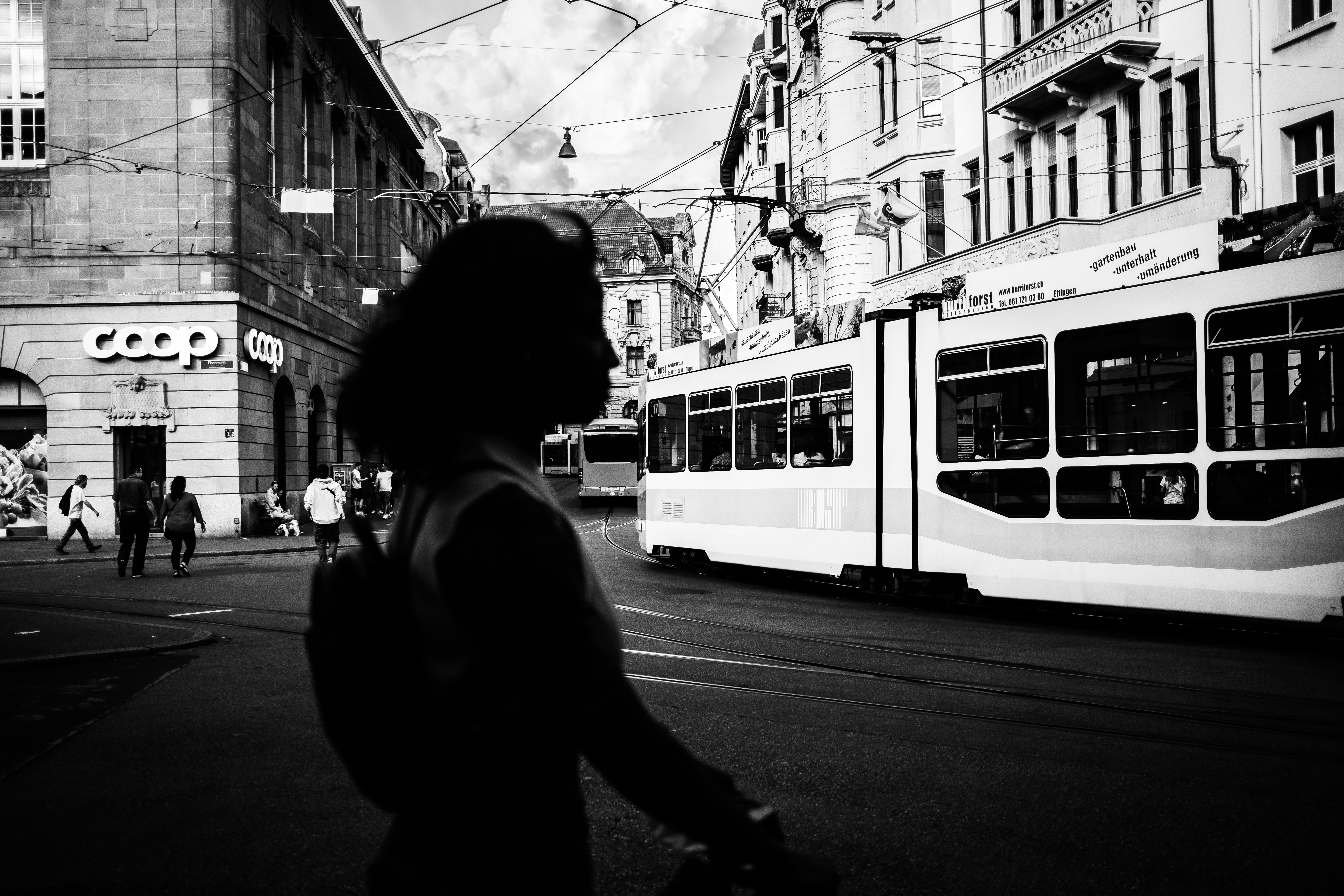Photo by purzlbaum