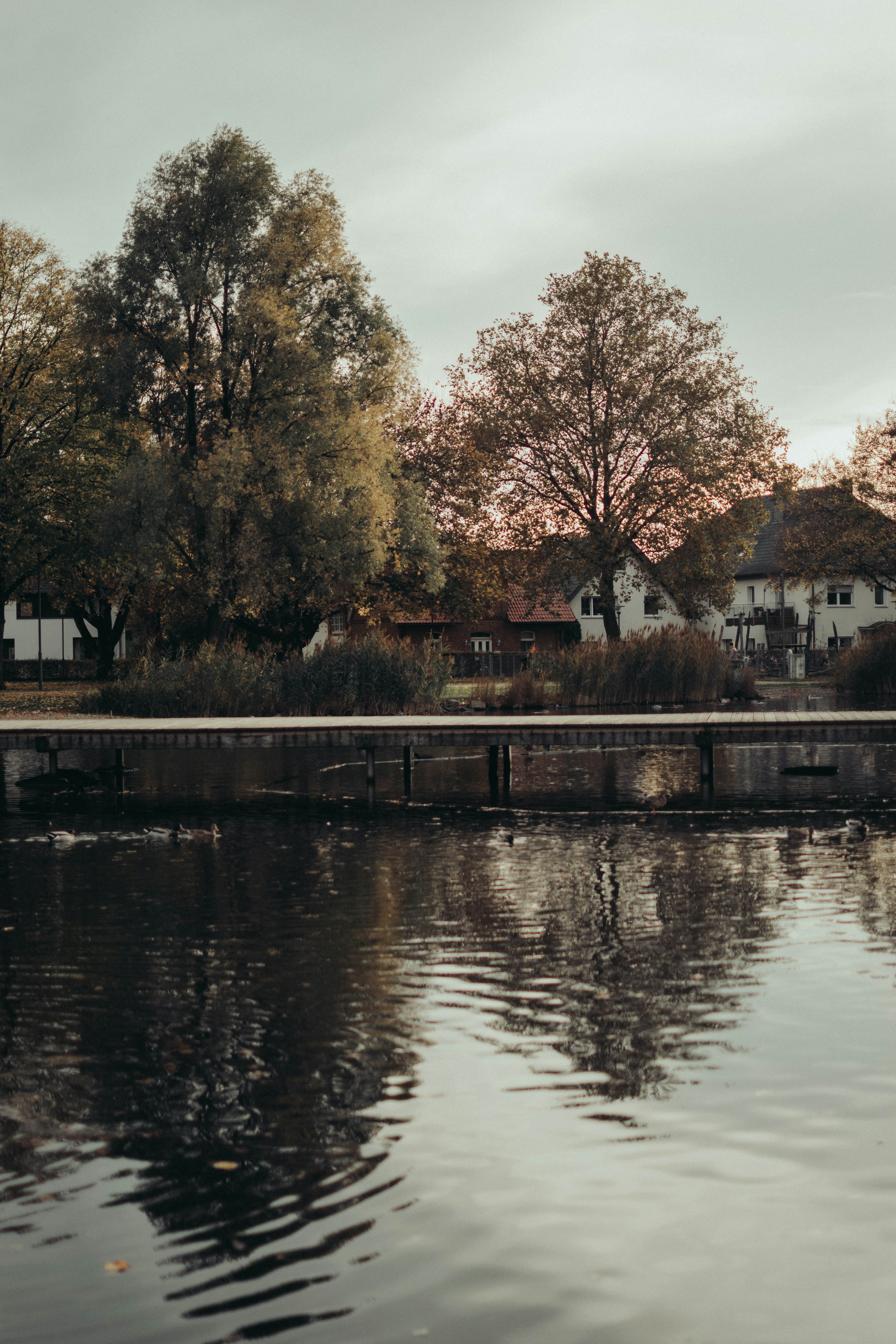 Photo by annaacurcan