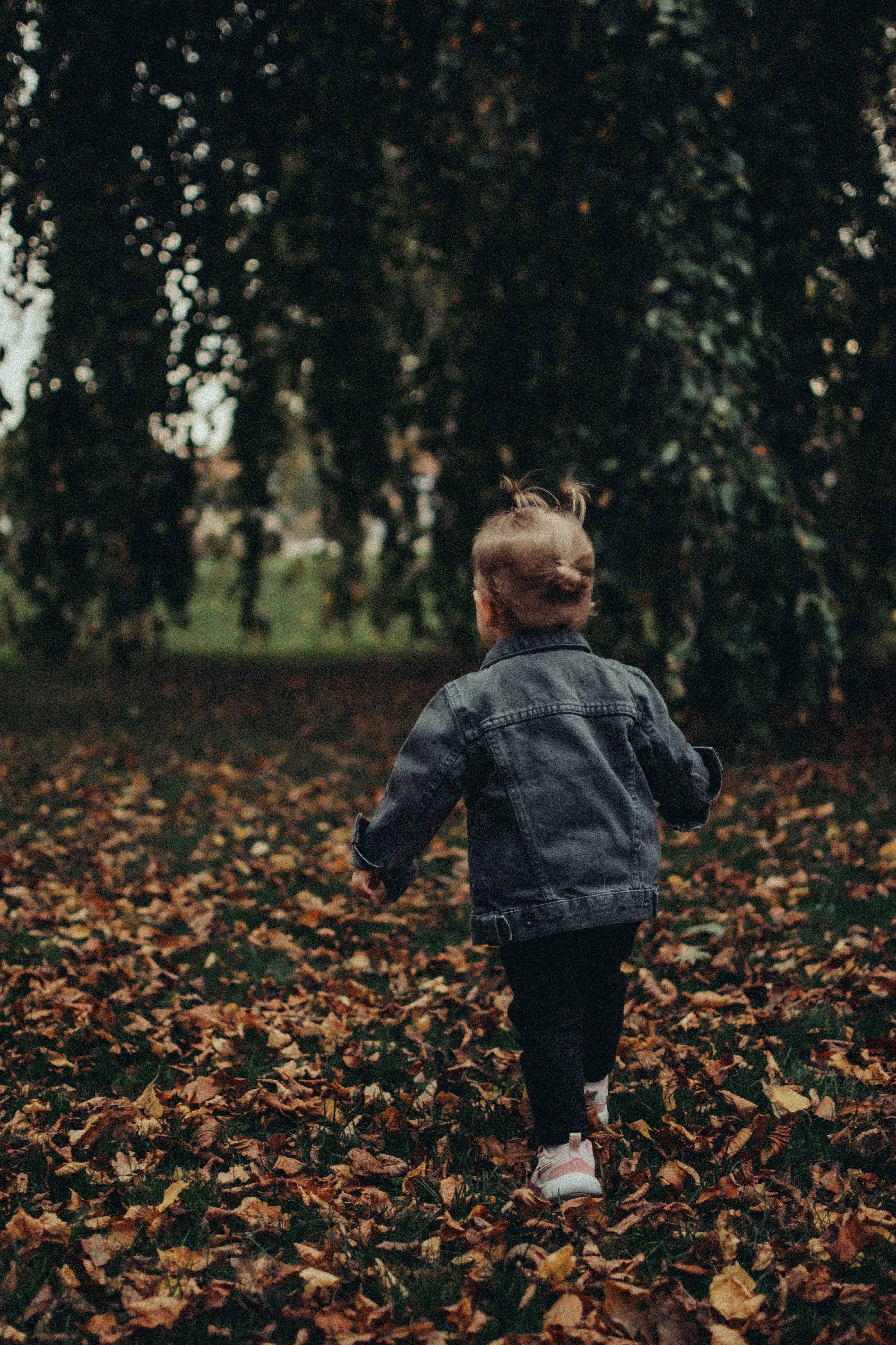 Photo by annaacurcan