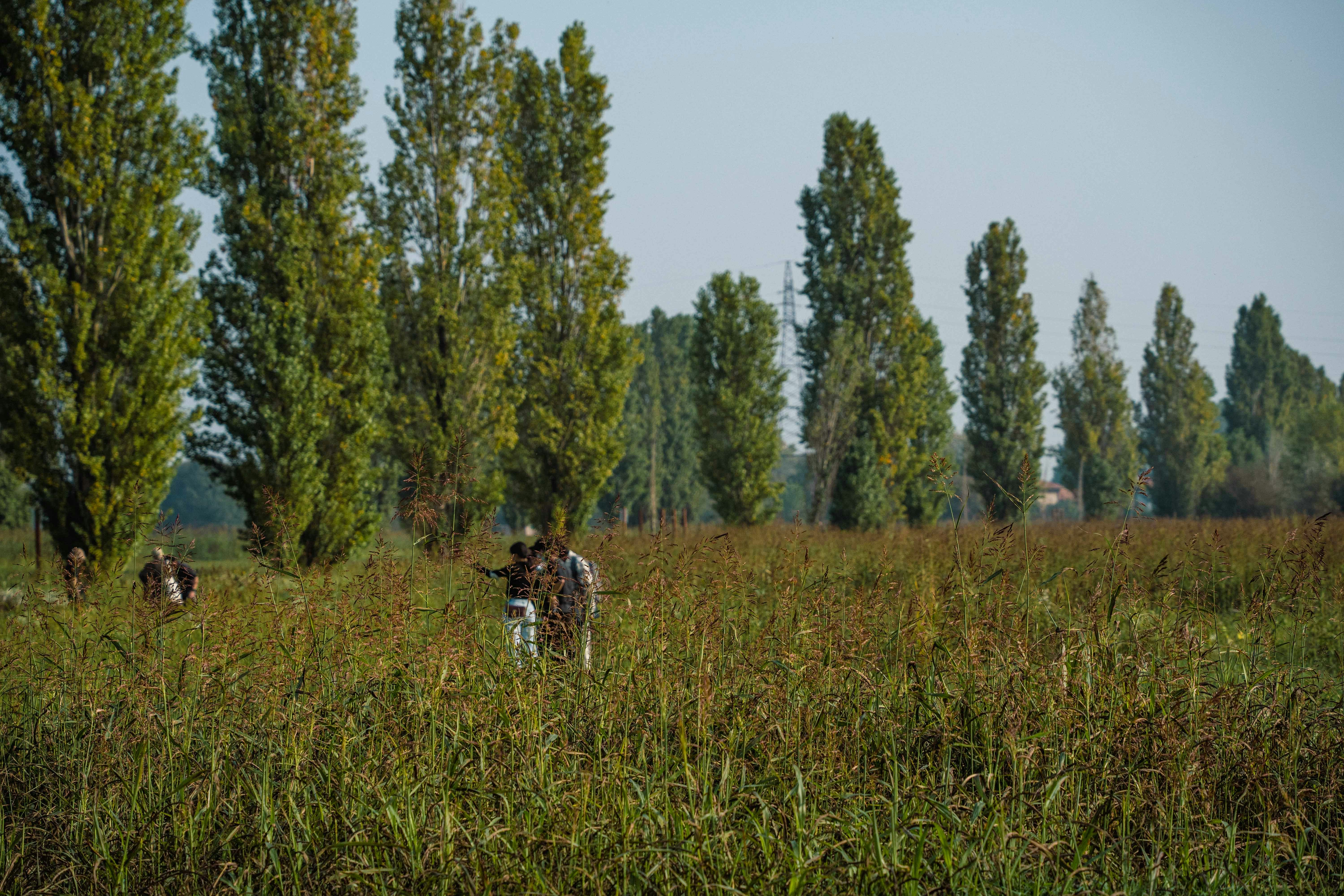 a group of people standing in a field with trees in the background