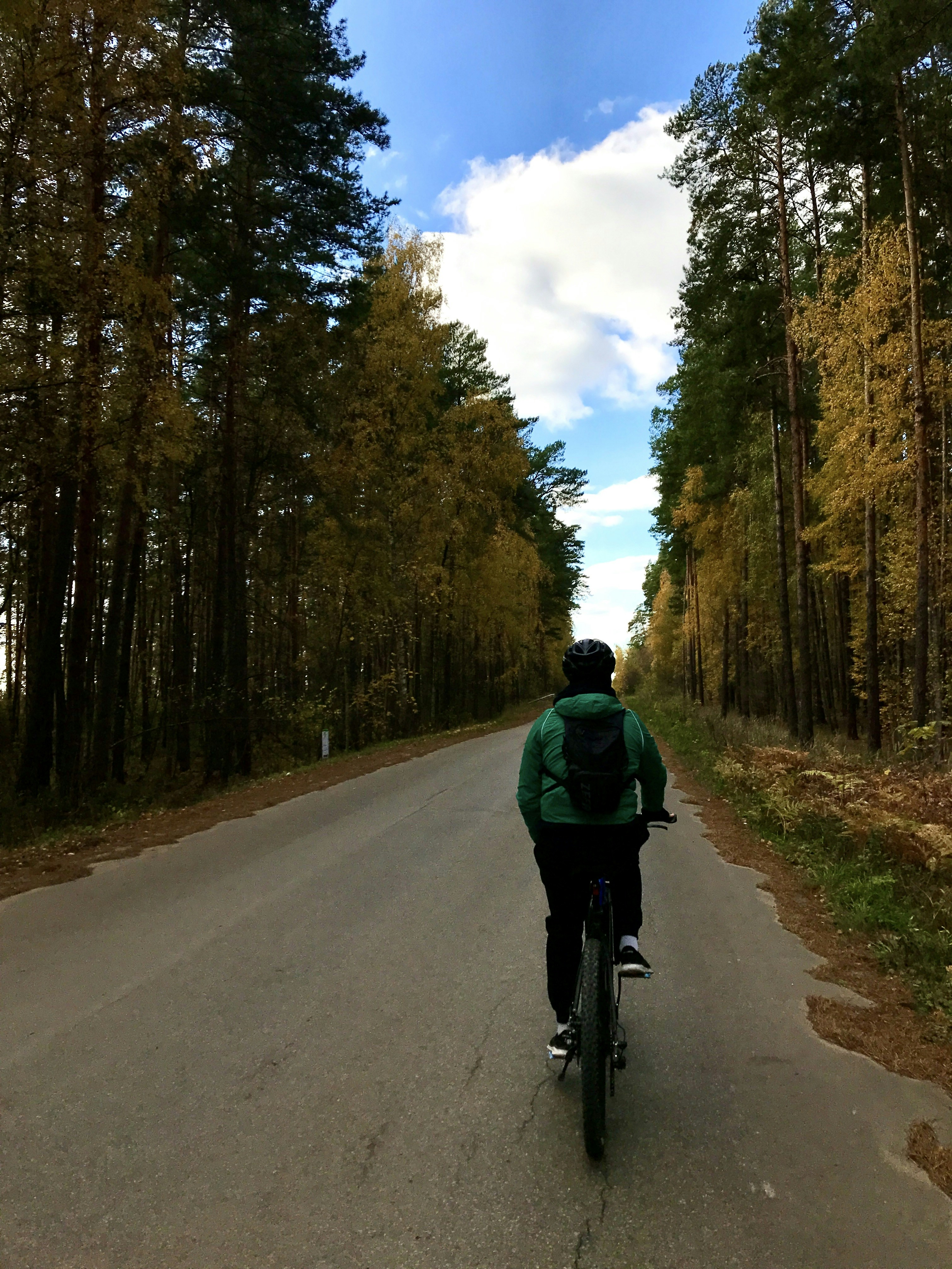 a person riding a bicycle on a road surrounded by trees