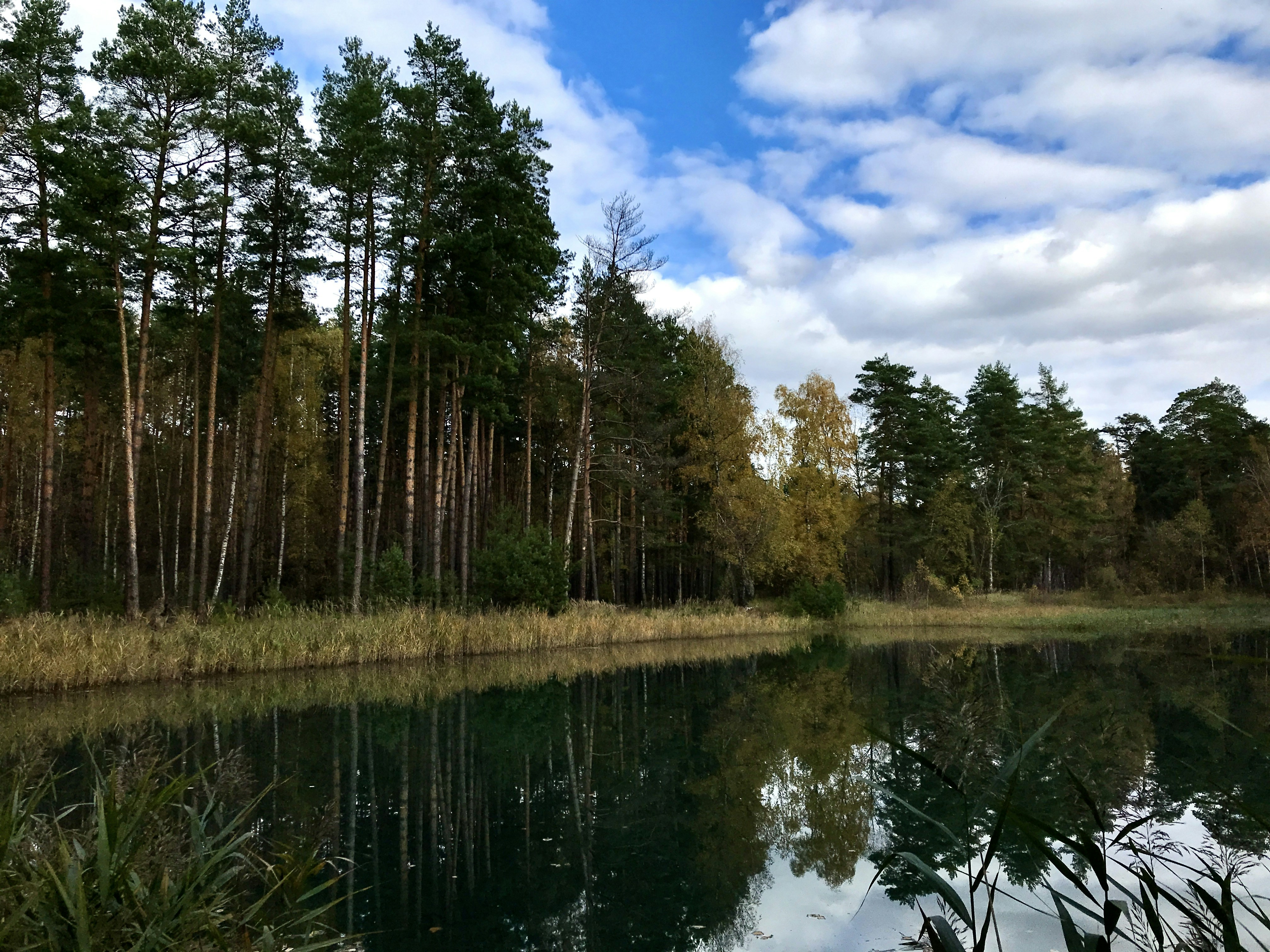 Photo by evgenslavin