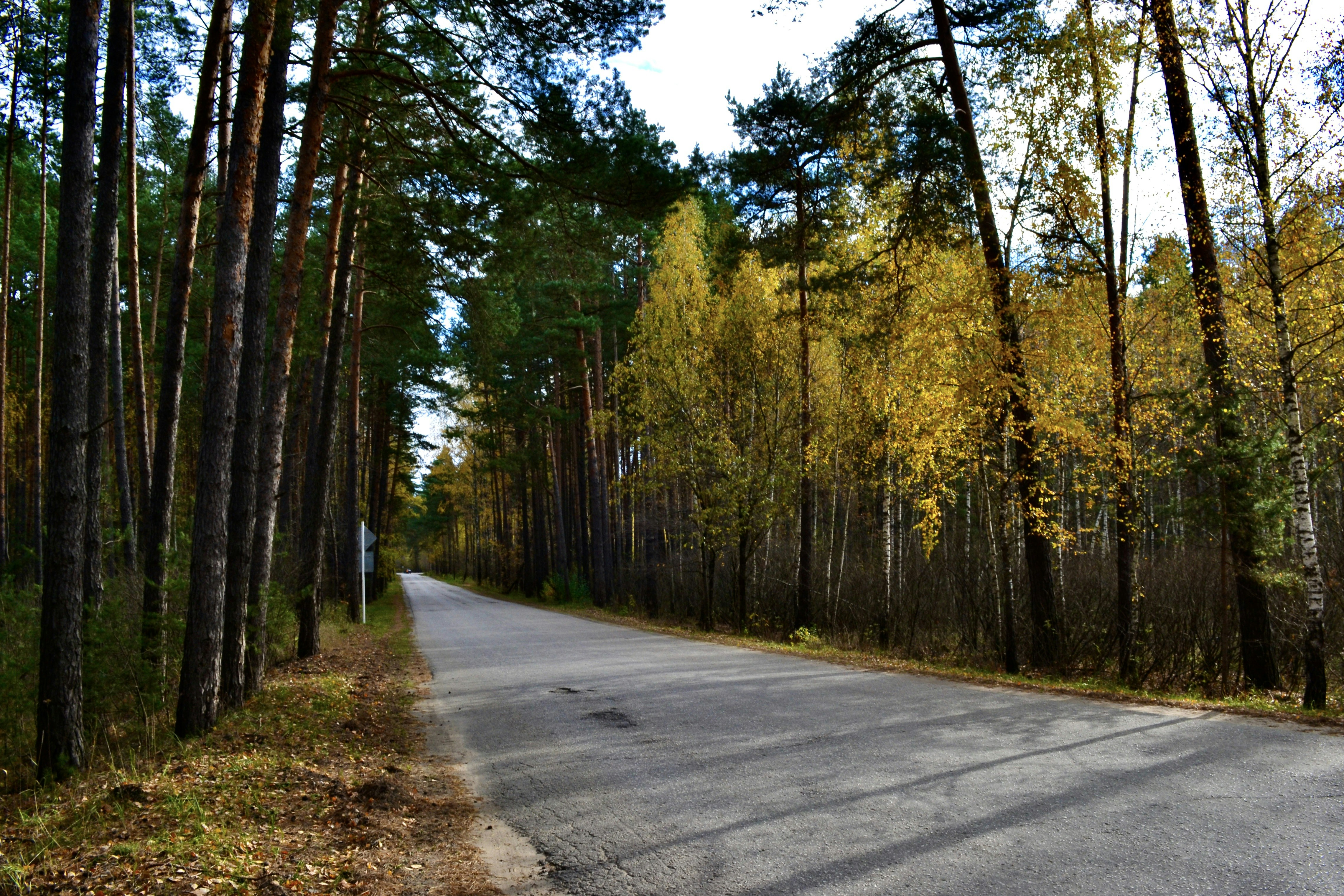 Photo by evgenslavin