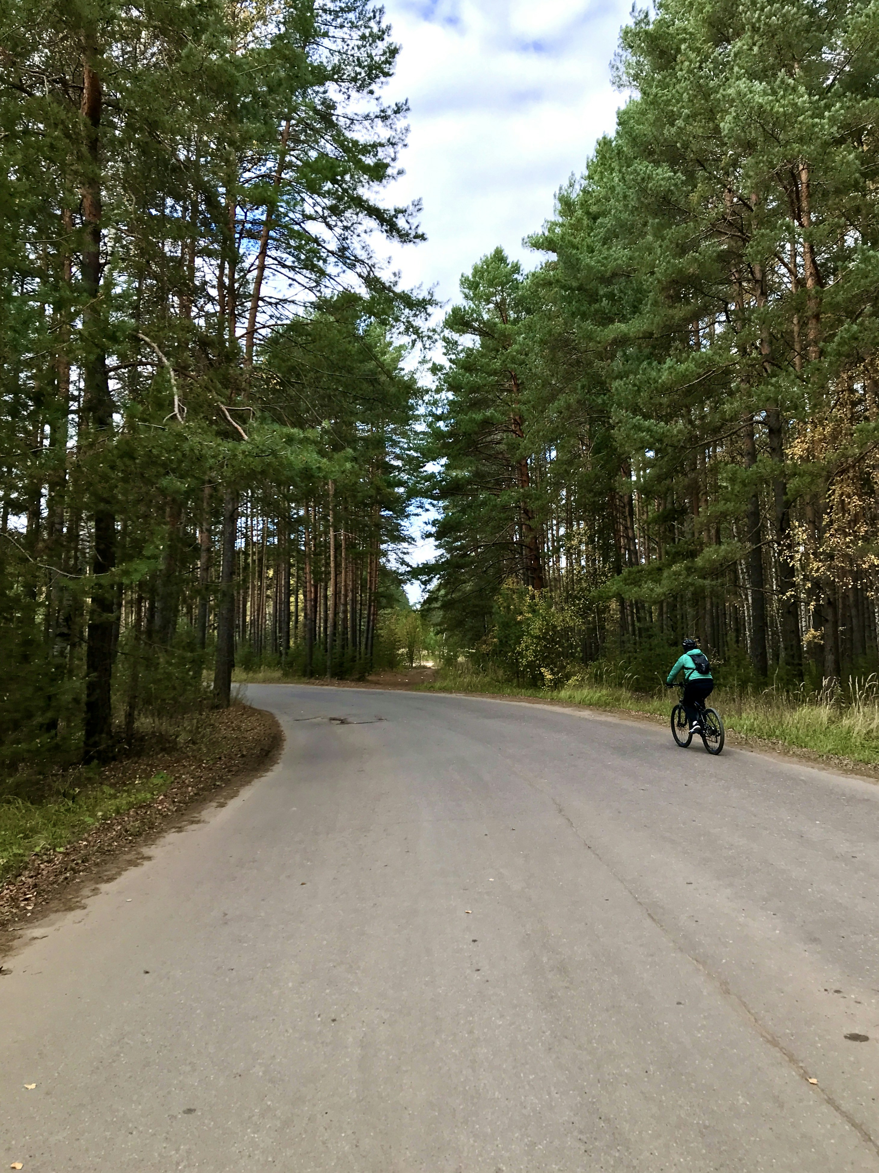 a person riding a bicycle on a road surrounded by trees