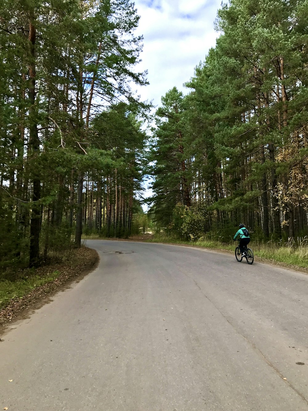 a person riding a bicycle on a road surrounded by trees