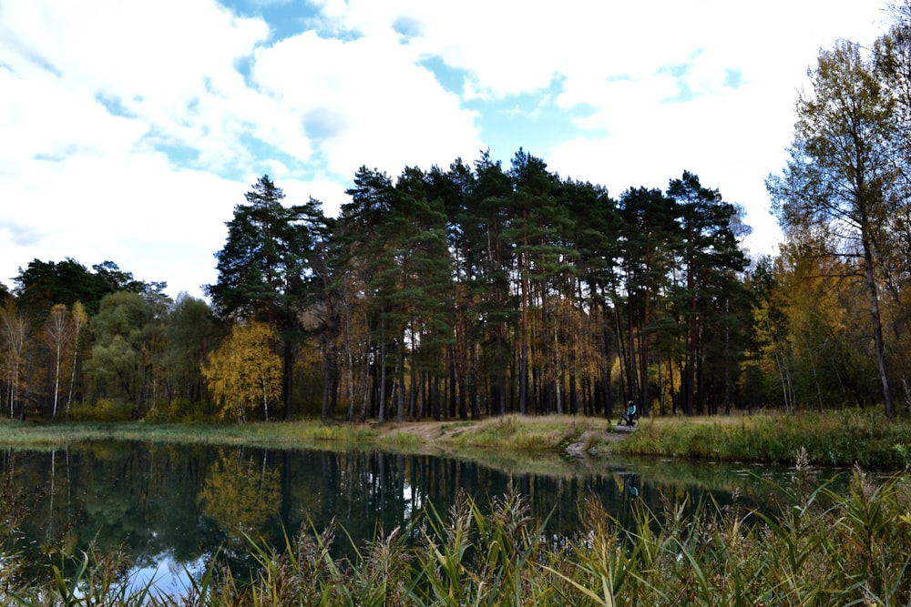 a body of water with trees around it