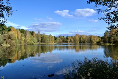 Muskoka lake with pine trees, header image for waterfront lake guides