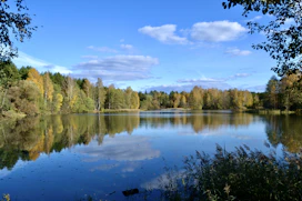 Calm Muskoka lake surrounded by dense pine forest under a clear sky.
