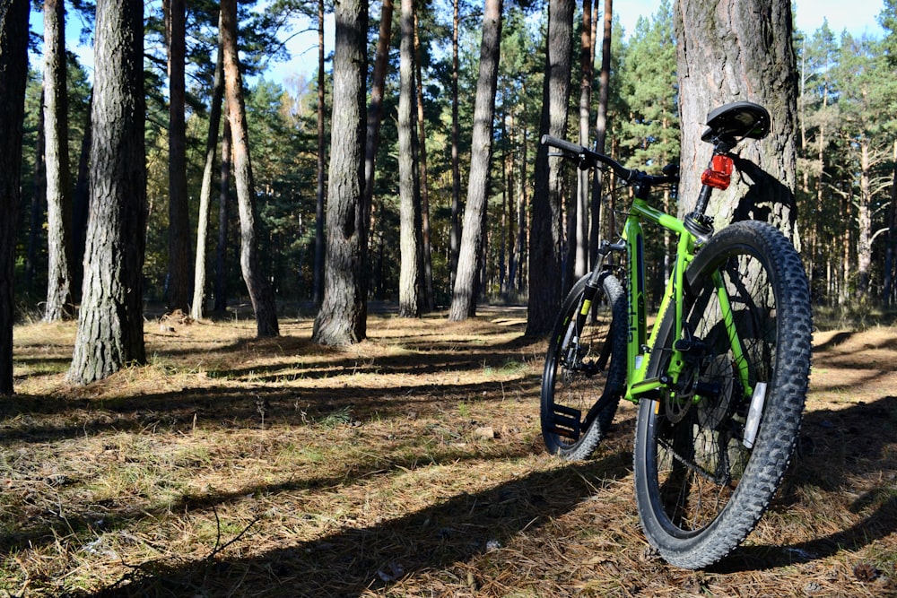 a bicycle parked by a tree