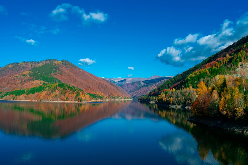 a lake surrounded by trees and mountains