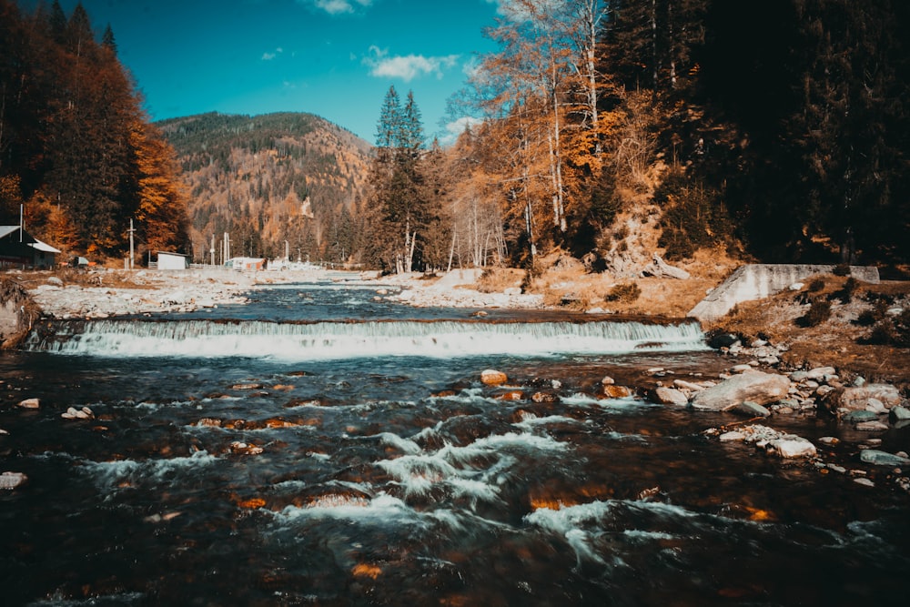 um rio com neve e árvores